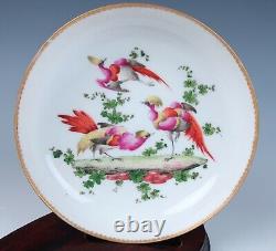 18th C. Chelsea Porcelain Chocolate Cup & Saucer Antique English Exotic Birds