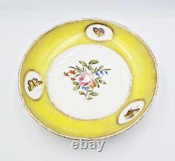 18th Century Continental Yellow Ground Porcelain Cup & Saucer Butterflies