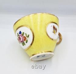 18th Century Continental Yellow Ground Porcelain Cup & Saucer Butterflies