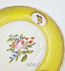 18th Century Continental Yellow Ground Porcelain Cup & Saucer Butterflies