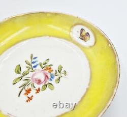 18th Century Continental Yellow Ground Porcelain Cup & Saucer Butterflies