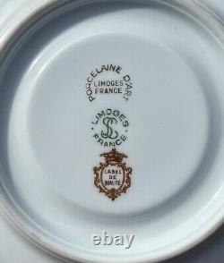 19th century Antique Limoges Cup & Saucer, Trembleuse, white, gold, floral