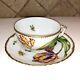 Anna Weatherley Old Master Tulips Cup And Saucer Handpainted