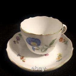 ANTIQUE MEISSEN PORCELAIN COFFEE CUP AND SAUCER Floral & Glory Morning