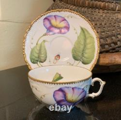 Anna Weatherley 2 1/8 Flat Cup & Saucer Hand Painted Hungary Morning Glory MINT