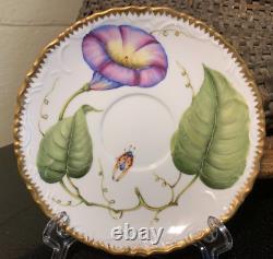 Anna Weatherley 2 1/8 Flat Cup & Saucer Hand Painted Hungary Morning Glory MINT