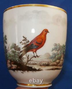 Antique 18thC Doccia Porcelain Bird Scene Scenic Cup & Saucer Porzellan Tasse