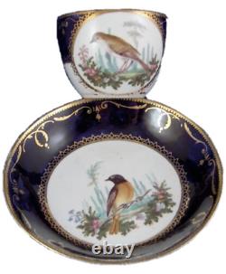 Antique 19thC English Spode Porcelain Bird Scene Cup & Saucer Scenic Porzellan