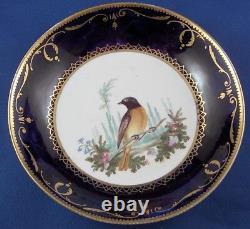 Antique 19thC English Spode Porcelain Bird Scene Cup & Saucer Scenic Porzellan