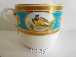 Antique 19thc Minton Celeste Blue Enamelled Cup And Saucer Painted With Birds