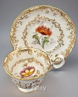 Antique Coalport Cup & Saucer Botanical HP Meissen Kpm Style