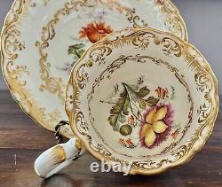 Antique Coalport Cup & Saucer Botanical HP Meissen Kpm Style