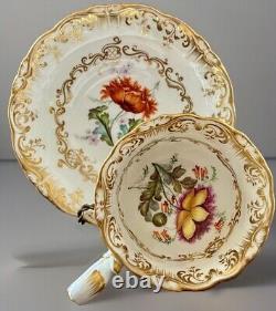 Antique Coalport Cup & Saucer Botanical HP Meissen Kpm Style