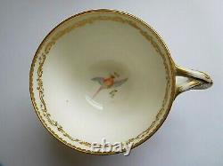 Antique Coalport John Rose Sevres Style Cup And Saucer With Enamel Randall Birds