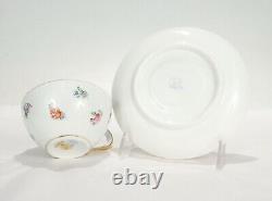 Antique Dresden Lamm Porcelain Handpainted Tea Cup & Saucer -4