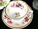 Antique English Porcelain Tea Cup And Saucer Daniel 1825 Painted Rose Teacup