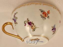 Antique Hirsch Dresden Tea Cup & Saucer, Floral Garlands
