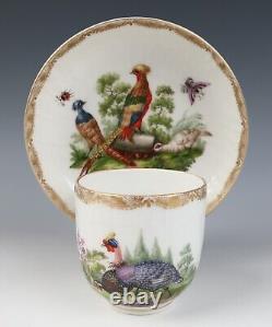 Antique KPM Berlin Cup & Saucer Birds Insects Gold 19th C. German Porcelain #B