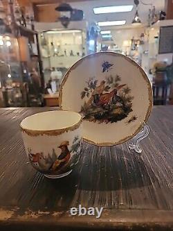 Antique KPM Berlin Cup & Saucer Birds Insects Gold 19th C. German Porcelain #B