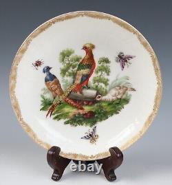 Antique KPM Berlin Cup & Saucer Birds Insects Gold 19th C. German Porcelain #B