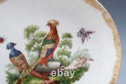 Antique KPM Berlin Cup & Saucer Birds Insects Gold 19th C. German Porcelain #B