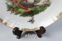 Antique KPM Berlin Cup & Saucer Birds Insects Gold 19th C. German Porcelain #B