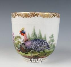 Antique KPM Berlin Cup & Saucer Birds Insects Gold 19th C. German Porcelain #B