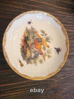 Antique KPM Berlin Cup & Saucer Birds Insects Gold 19th C. German Porcelain #B