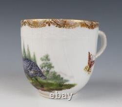 Antique KPM Berlin Cup & Saucer Birds Insects Gold 19th C. German Porcelain #B