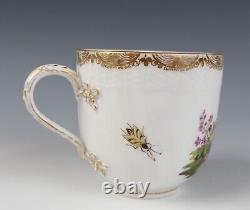 Antique KPM Berlin Cup & Saucer Birds Insects Gold 19th C. German Porcelain #B