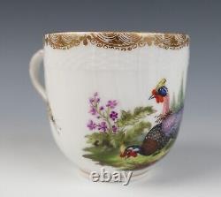 Antique KPM Berlin Cup & Saucer Birds Insects Gold 19th C. German Porcelain #B