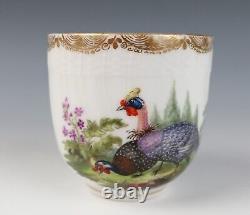 Antique KPM Berlin Cup & Saucer Birds Insects Gold 19th C. German Porcelain #B