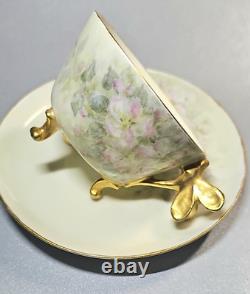 Antique Limoges 1900s Demitasse Tea Cup & Saucer Dragonfly Handle. Perfect