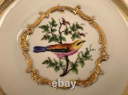 Antique Meissen Cup & Saucer, Hand Painted Birds, C. 1840