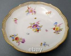 Antique Meissen cup & saucer 1st factory class Flowers Bugs and Insetcs 19. Ct