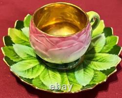 Antique Porcelain Carlsbad Carl Knoll German Pink Rose Tea Cup and & Saucer Set