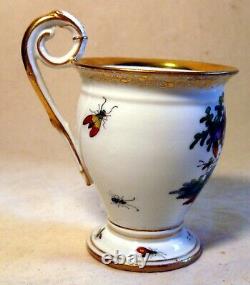 Antique Richard Klemm Porcelain Cup & Saucer Exotic Birds Insects Hand Painted