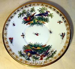 Antique Richard Klemm Porcelain Cup & Saucer Exotic Birds Insects Hand Painted b