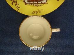 Arras Porcelain Cup & Saucer Yellow Ground And Gilded Decoration Hunting Panels