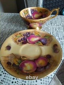 Aynsley Orchard Gold Cup and Saucer Signed N Brunt