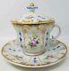 Bpm Germany Buckau Porcelain Manufactory Oversized Covered Cup & Saucer C. 1850