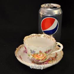 Bavaria Tiefenfurth Cup & Saucer Hand Painted Dresden Florals Germany 1896-1916