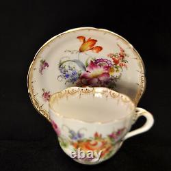 Bavaria Tiefenfurth Cup & Saucer Hand Painted Dresden Florals Germany 1896-1916