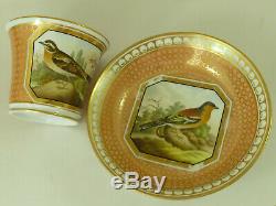 British Birds Chamberlains Worcester Porcelain Cup & Saucer Hand Painted Marked