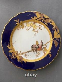 Brownfield for tiffany painting to hand, 1900. 12 plates tiffany porcelain