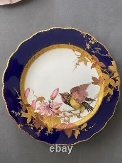 Brownfield for tiffany painting to hand, 1900. 12 plates tiffany porcelain