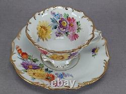 Carl Teichert Meissen Hand Painted Floral & Gold Tea Cup & Saucer A
