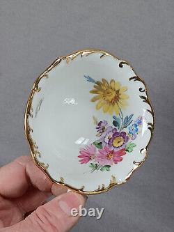 Carl Teichert Meissen Hand Painted Floral & Gold Tea Cup & Saucer A