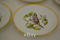 Copeland Spode England Audubon Bird Set Of 7 Cups With Saucer, Sugar Bowl, Creamer