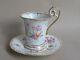 Dresden Porcelain Empire Shape Watteau Cup & Saucer 19th C (ref3848)